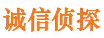 施甸侦探